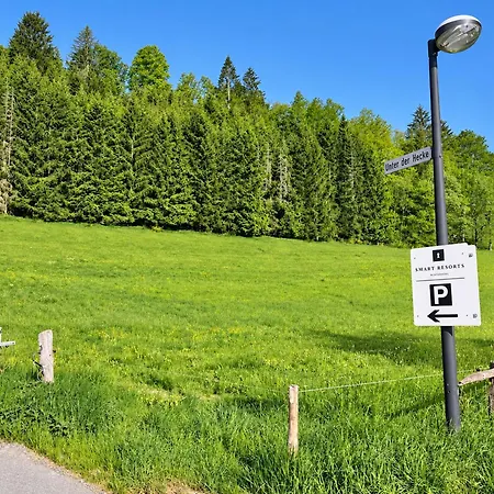 Smart 1 Bb1 052 * Winterberg