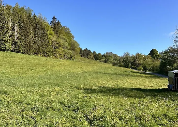 Smart 1 Bb1 052 Winterberg